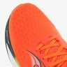 Saucony Triumph 22