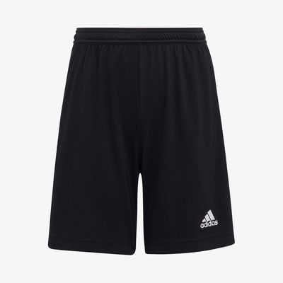 adidas Shorts Entrada 22