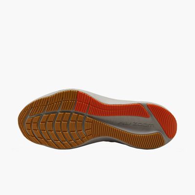 Nike Winflo 8