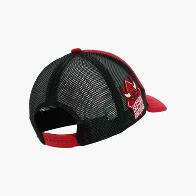 NBA Bulls