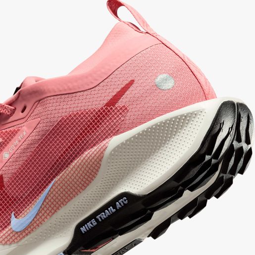 Nike Pegasus Trail 5 GORE-TEX