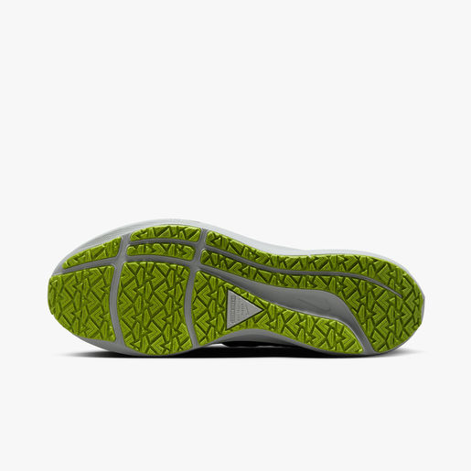 Nike Pegasus 39 Shield