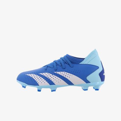 adidas Predator Accuracy.3 césped natural seco