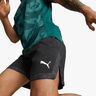 Puma Off Season