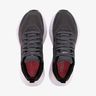adidas Questar