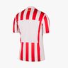 Nike Camiseta Atlético Madrid 2025/26 Stadium Home