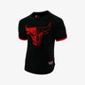 NBA Chicago Bulls Jersey