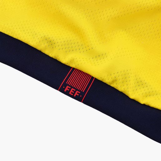 Marathon Sports Camiseta Oficial Copa América FEF