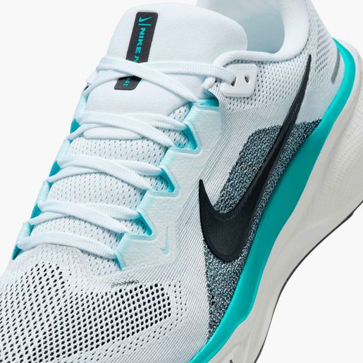 Nike Pegasus 41