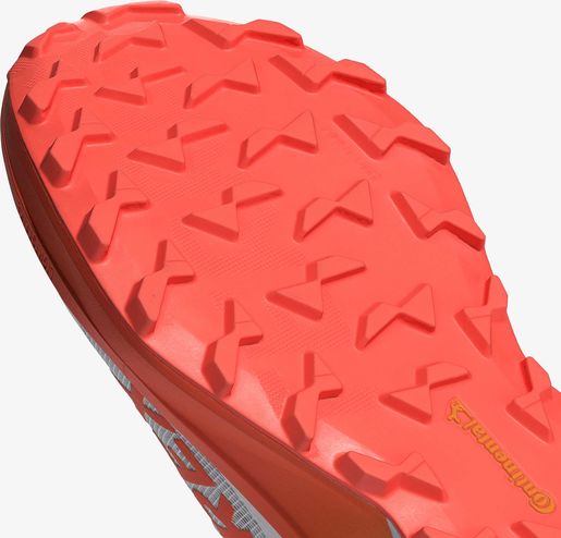 adidas Terrex Agravic 3