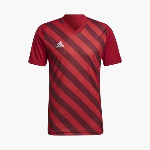 adidas Entrada 22 Graphic