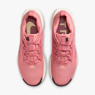 Nike Pegasus Trail 5 GORE-TEX