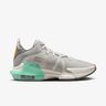 LeBron Witness 7