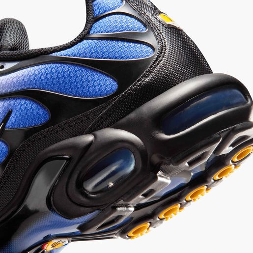Nike Zapatos Air Max Plus