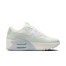Nike Air Max 90 LV8