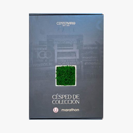 Césped Colección Cuadro Monumental U Marathon