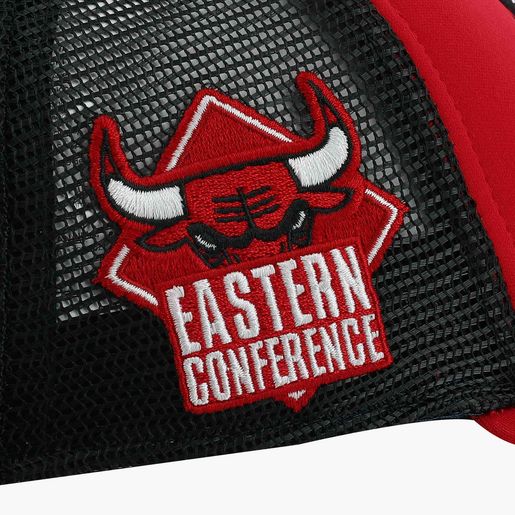 NBA Bulls