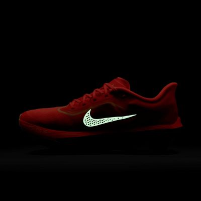 Nike Zoom Fly 6