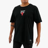 NBA Chicago Bulls