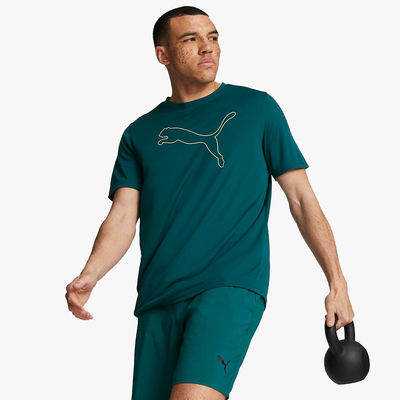 Puma Performance Cat