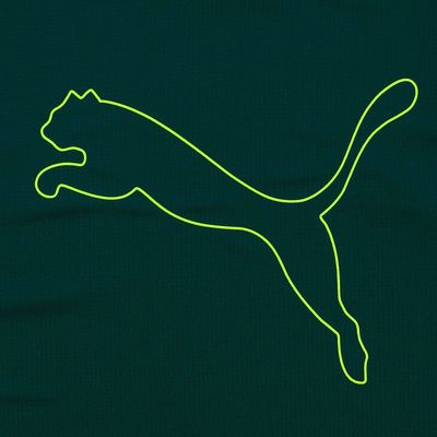 Puma Performance Cat