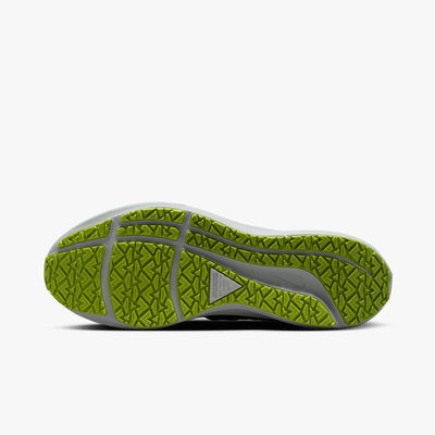 Nike Pegasus 39 Shield