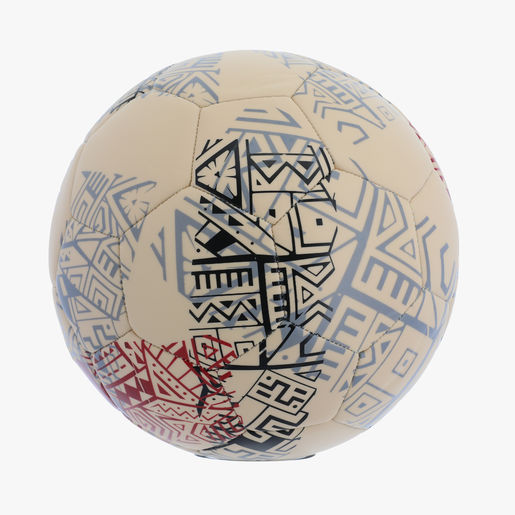 Pelota Universitario 100 años