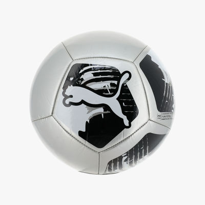 Puma Big Cat