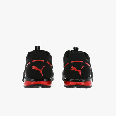 Puma Cell Divide