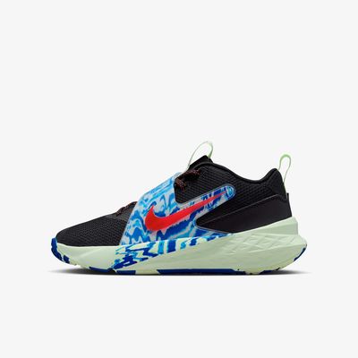 Nike Zapatos Team Hustle D 12