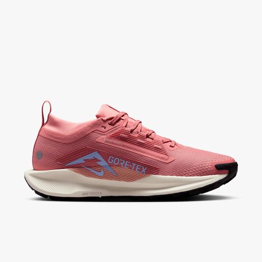 Nike Pegasus Trail 5 GORE-TEX