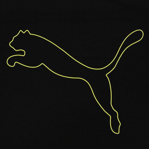 Puma Performance Cat