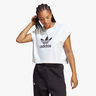 adidas Adicolor Classics Trefoil