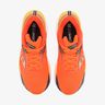 Saucony Triumph 22