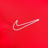 Nike DriFIT Academy