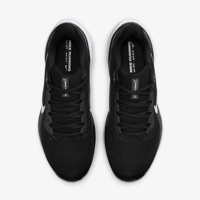 Nike Pegasus 41