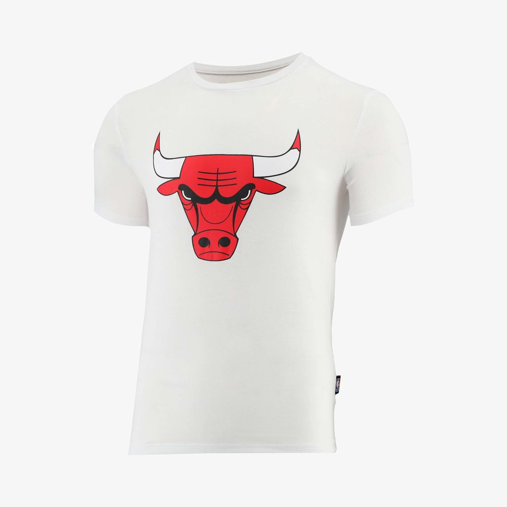 NBA Basic Primary Logo