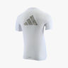adidas Workout