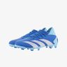 adidas Predator Accuracy.3 césped natural seco