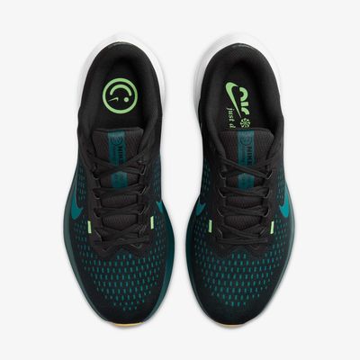 Nike Winflo 10