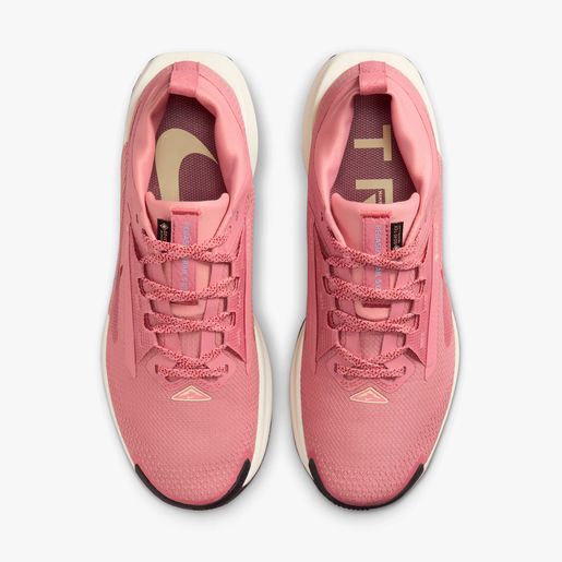 Nike Pegasus Trail 5 GORE-TEX