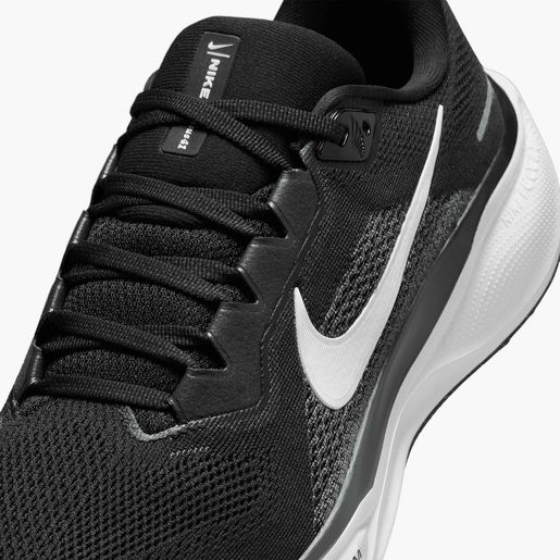 Nike Pegasus 41
