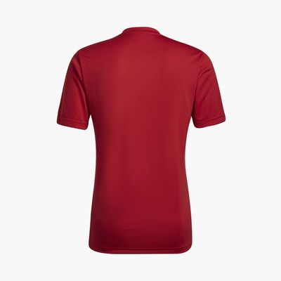 adidas Entrada 22 Graphic
