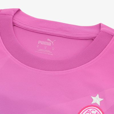 Puma Camiseta Milan Alterna 23/24