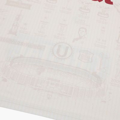Camiseta Estampada Universitario 100 Años Oficial