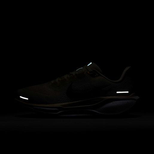 Nike Pegasus 41