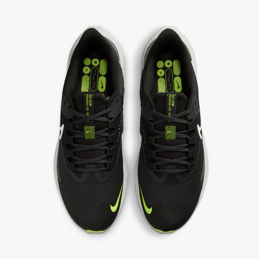 Nike Pegasus 39 Shield