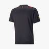 Puma Manchester City F.C. Visitante 22/23 Réplica