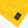 Camiseta Réplica Conmemorativa BSC 100 Años