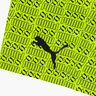 Puma Swim